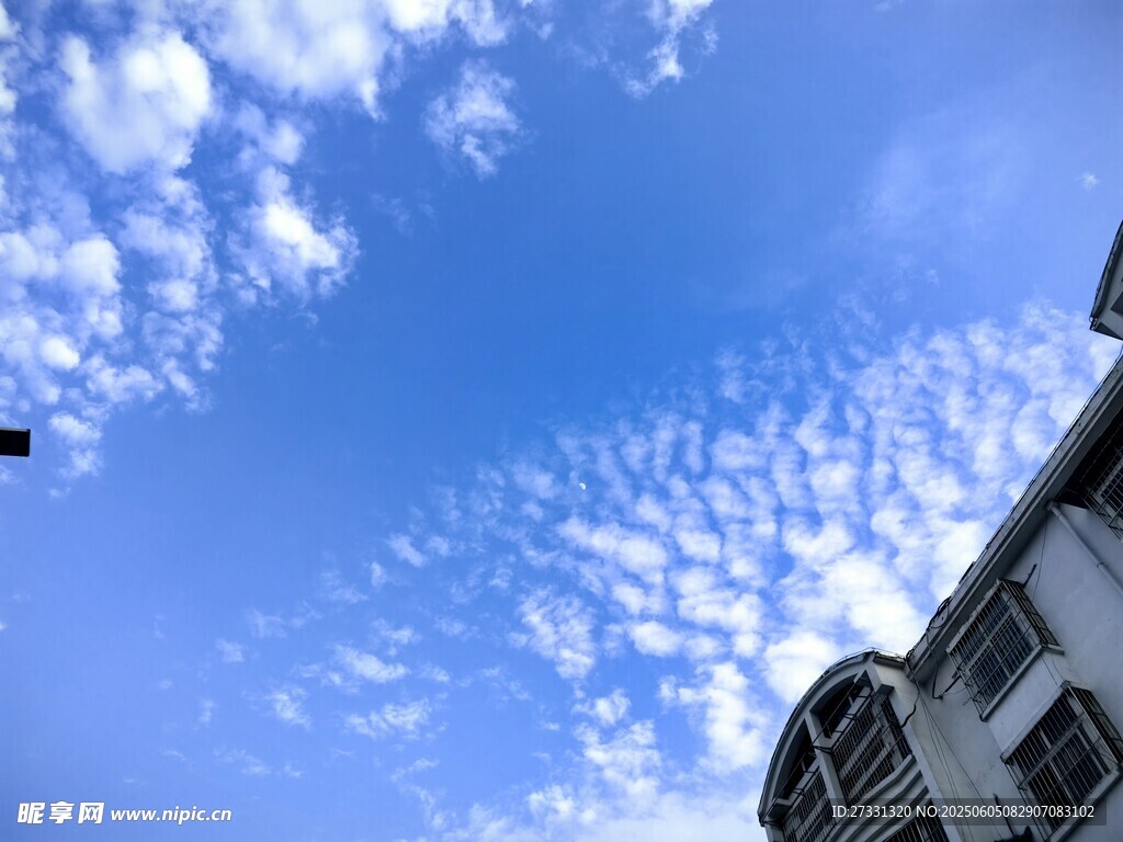 蓝天白楼下的美丽景致