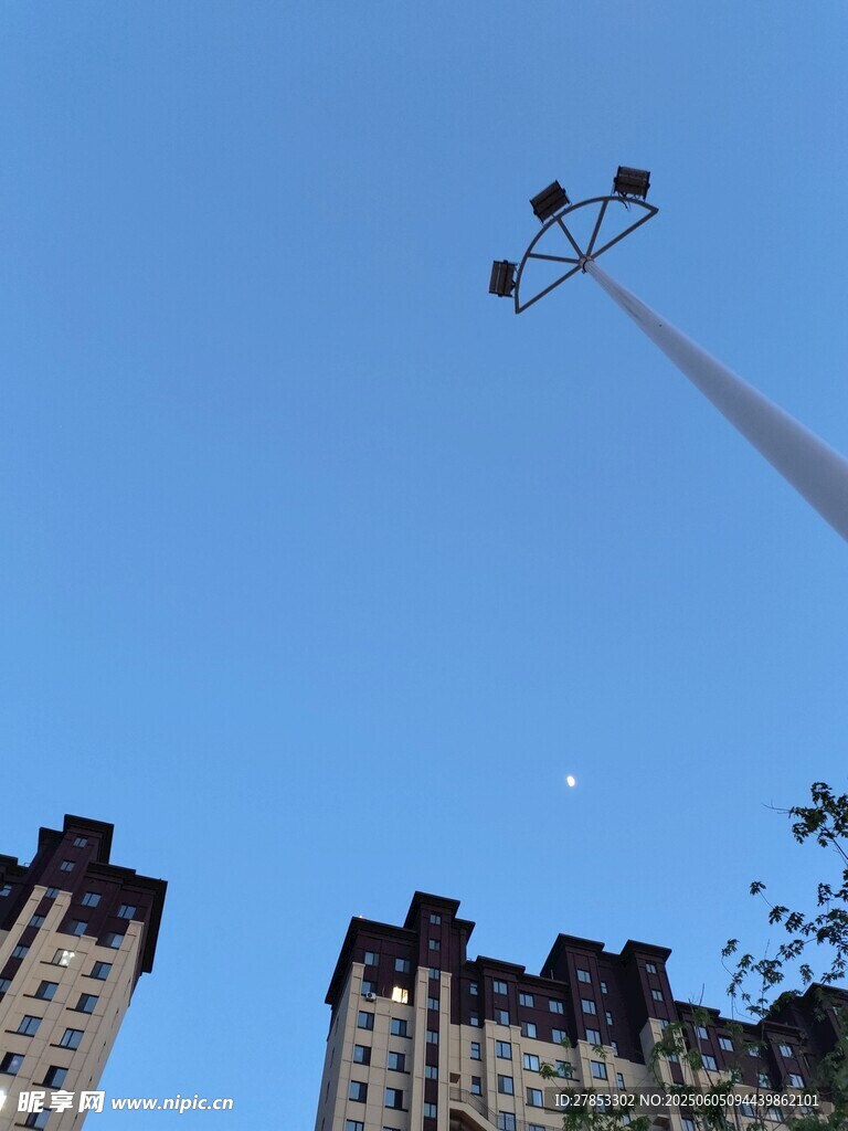 高楼间的路灯与蓝天