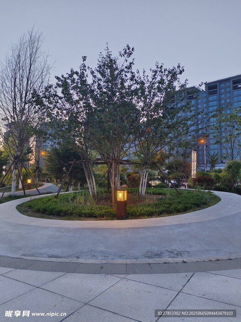 城市中静谧的环形绿植景观