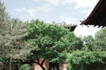 山西 华严寺
