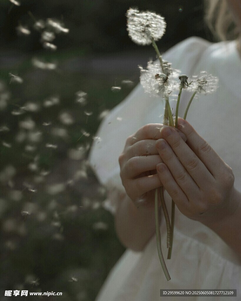 手捧白花的唯美瞬间