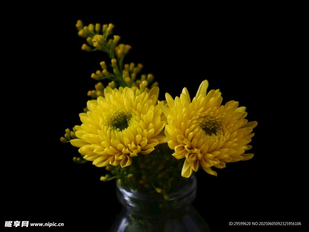 花瓶中的黄色菊花