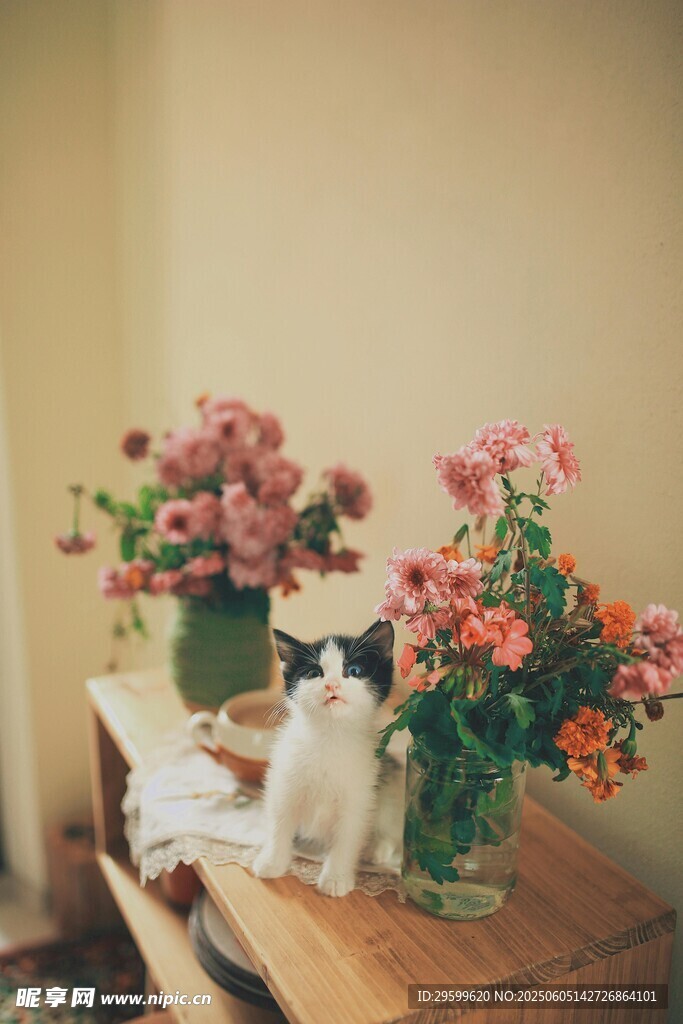 桌上花瓶与可爱猫咪摆件