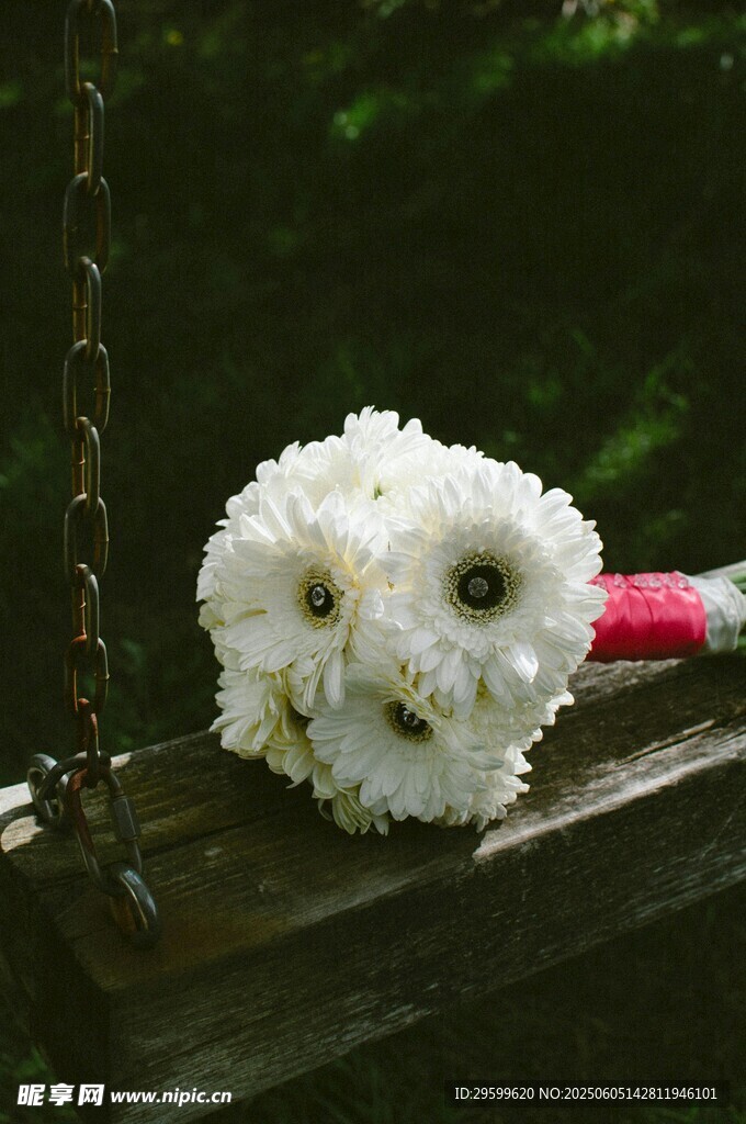 白色乒乓菊手捧花特写