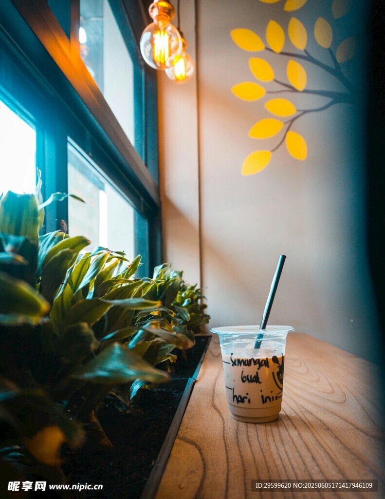 窗边绿植旁的清新饮品