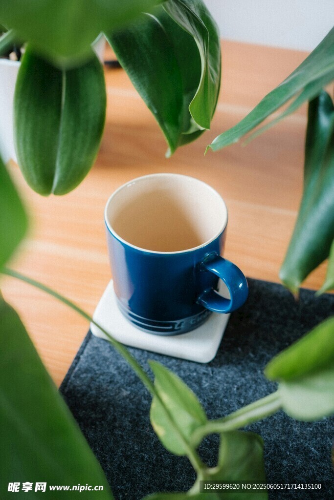 蓝杯咖啡与绿植惬意场景