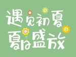 遇见初夏 百花盛放