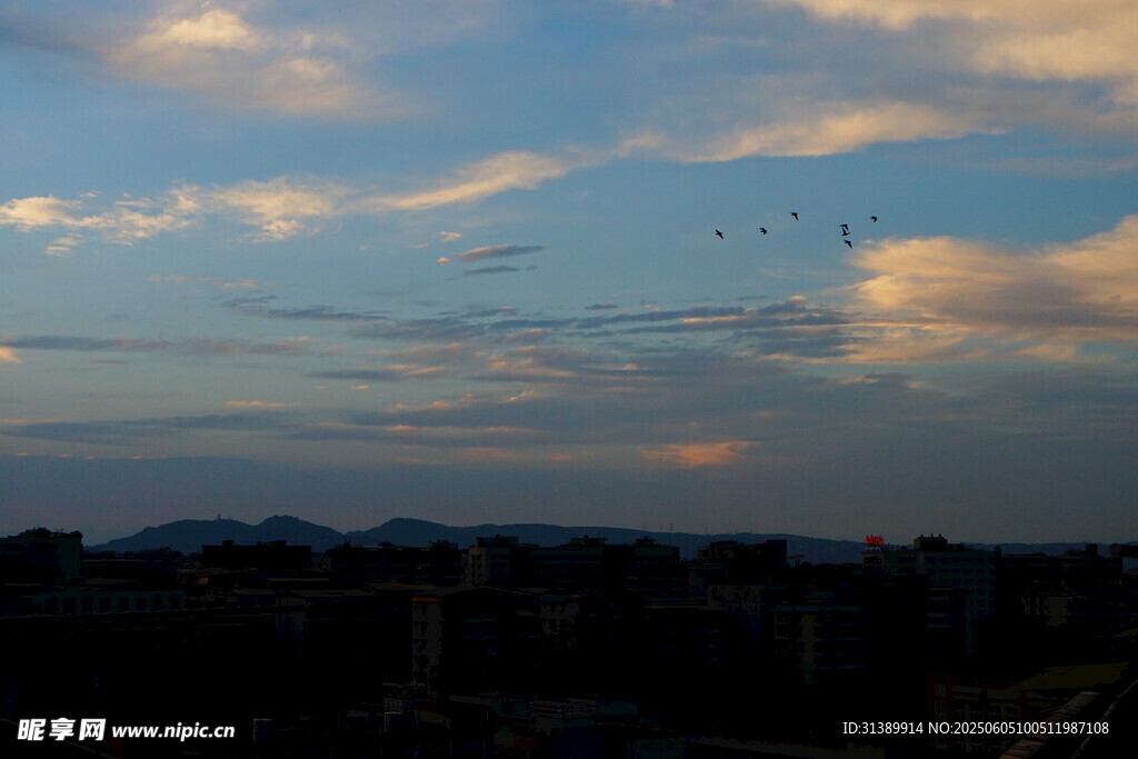 黄昏时分的天空与飞鸟