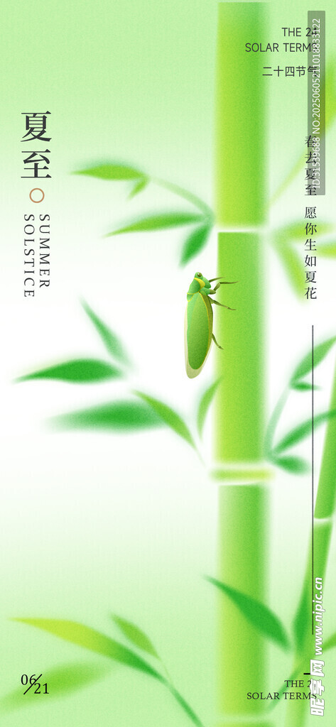 24节气夏天6月你好夏季夏至