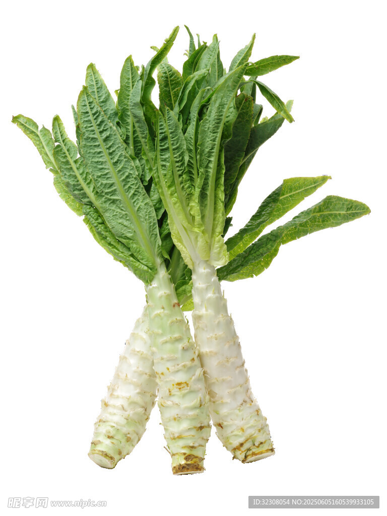 新鲜莴笋蔬菜