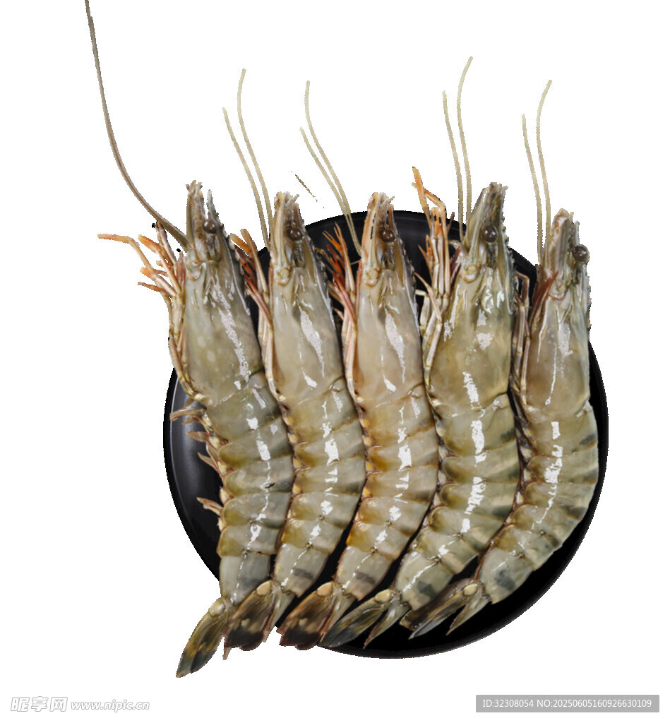盘中鲜虾