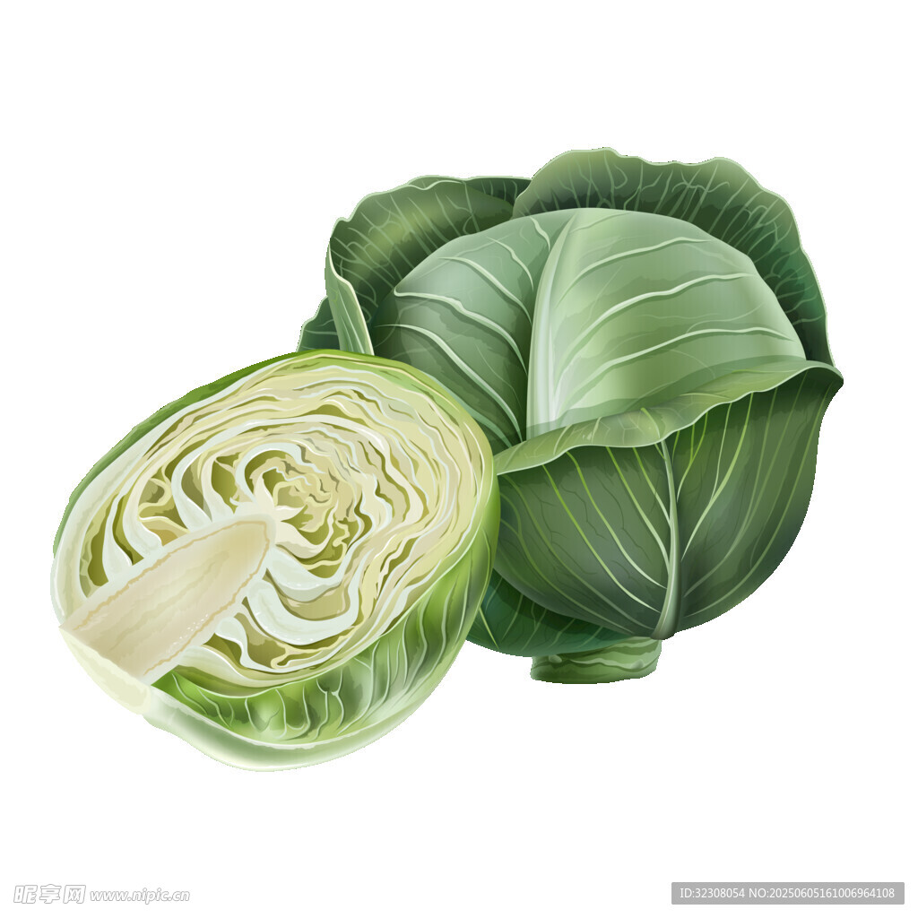 新鲜卷心菜 半颗与整颗