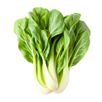 新鲜小白菜