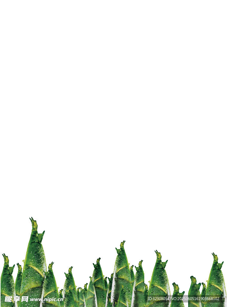 绿色植物边缘装饰图案