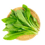 竹篮中的鲜嫩油麦菜