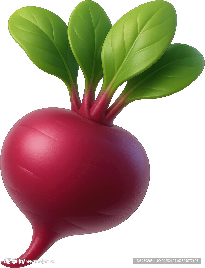 可爱红甜菜插画