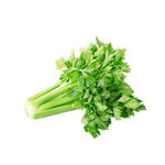 新鲜翠绿芹菜
