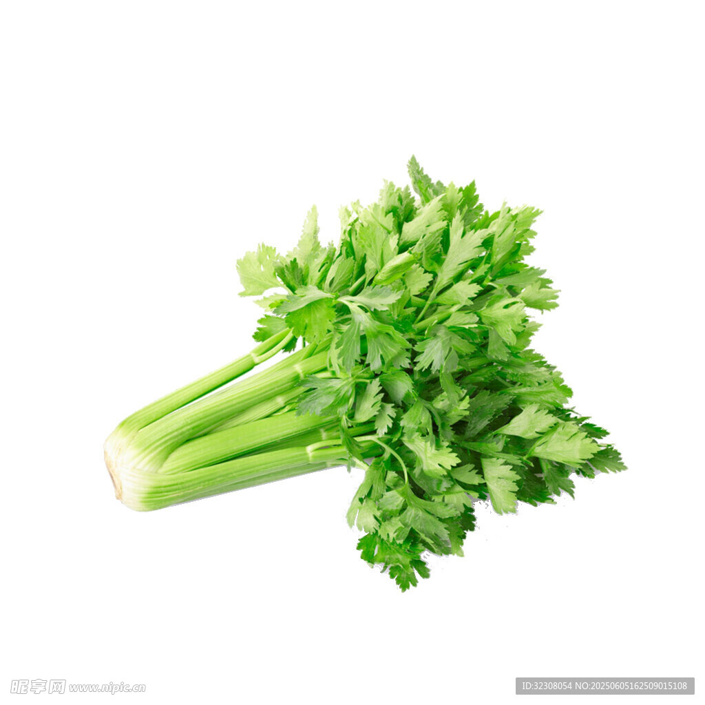 新鲜翠绿芹菜