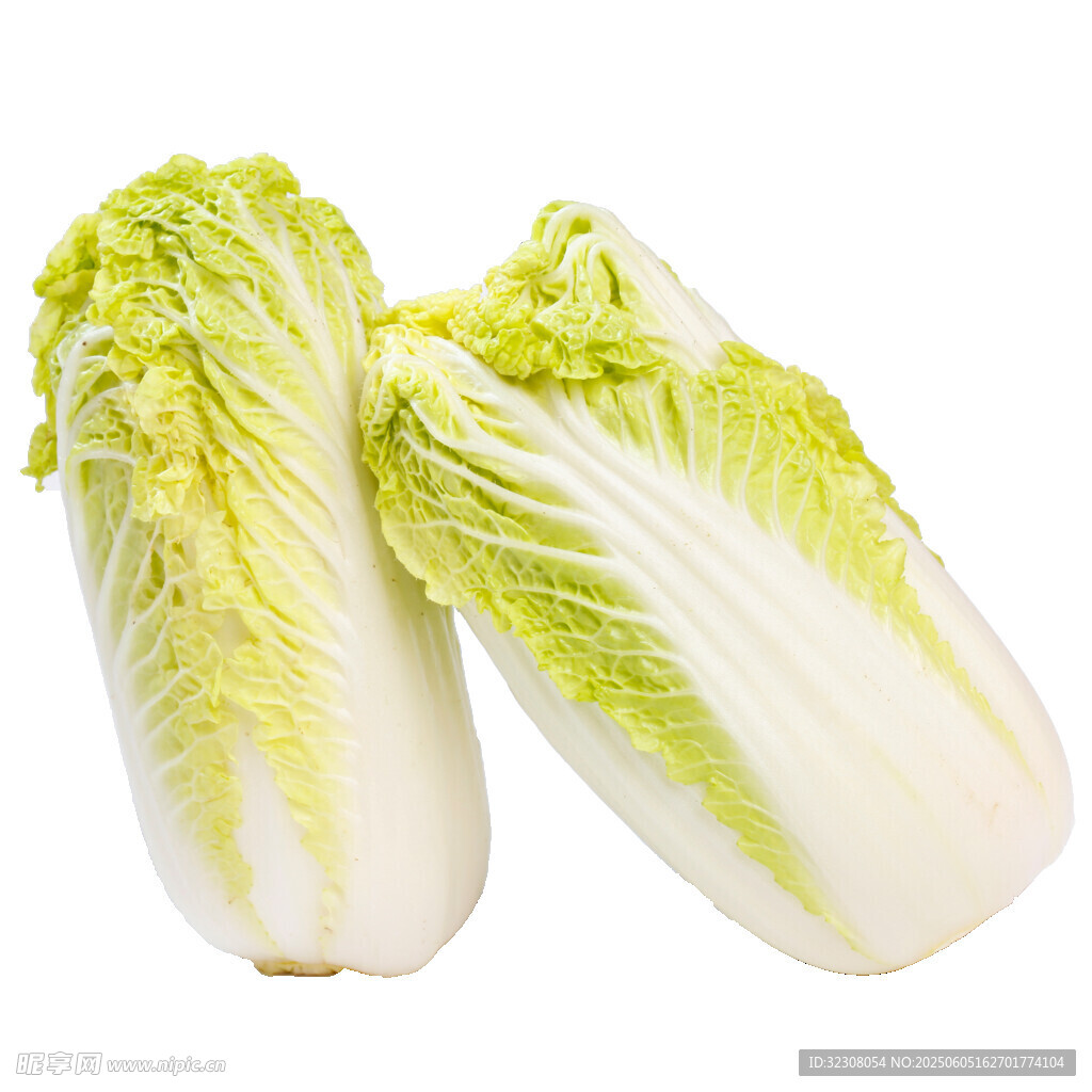 两颗鲜嫩大白菜