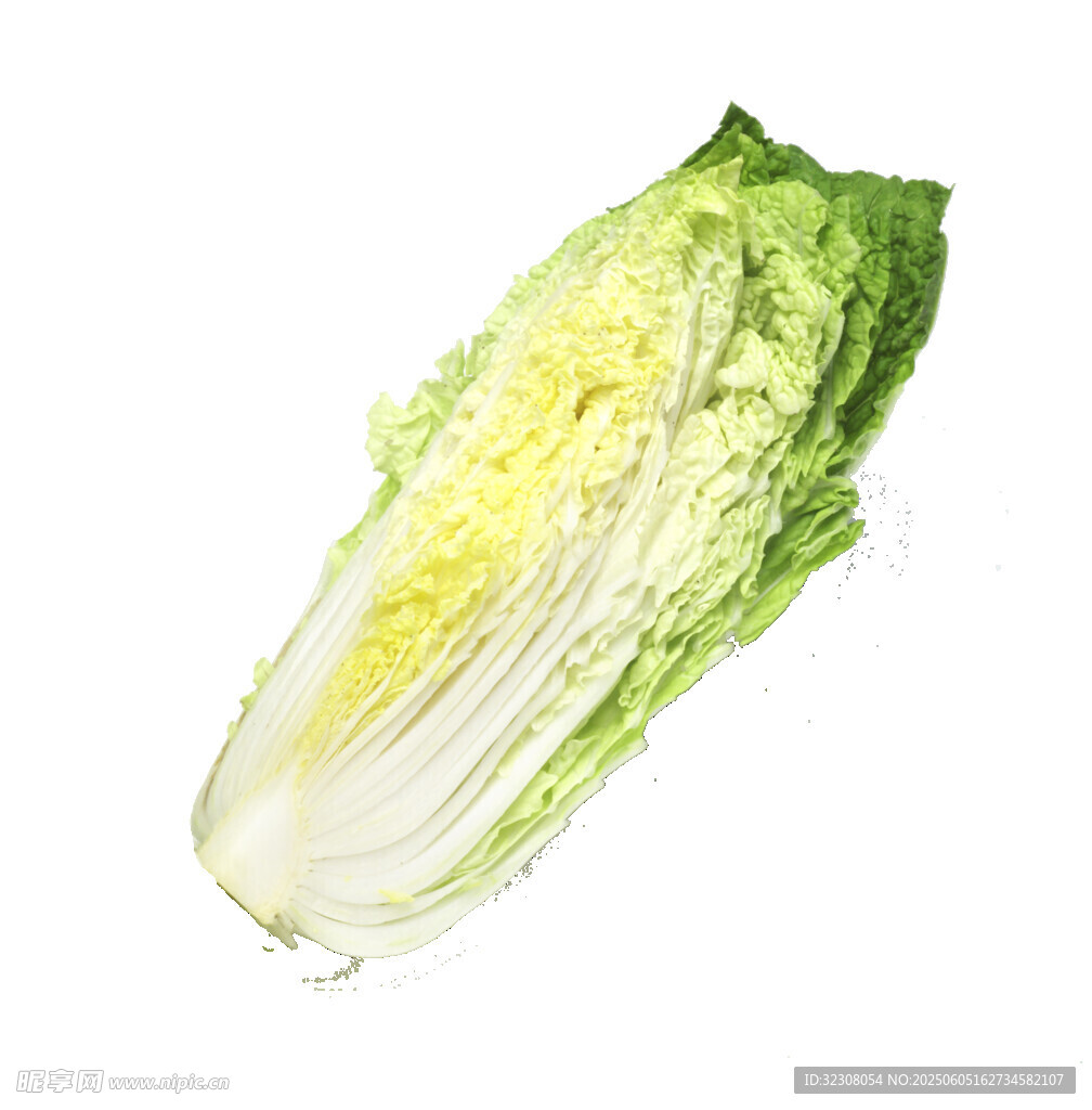 新鲜大白菜特写
