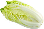 新鲜大白菜