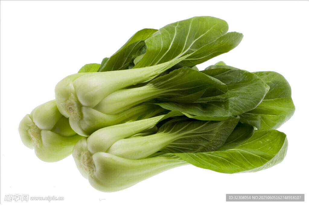 新鲜小白菜