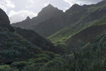 青山