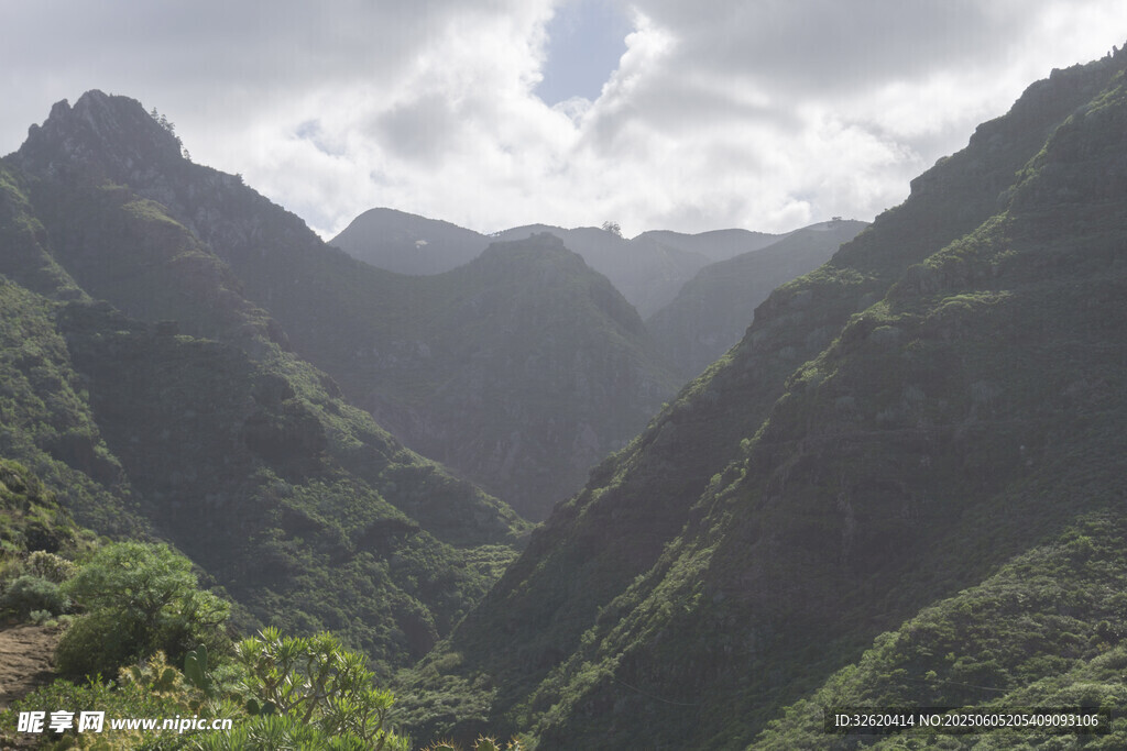 青山