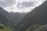 青山