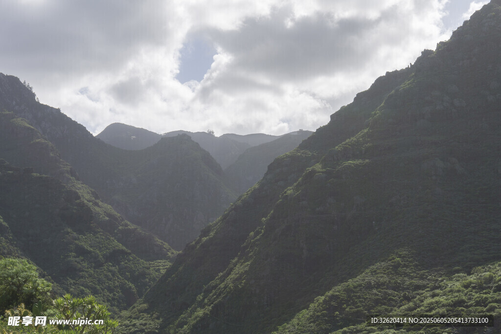 青山