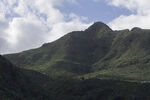 青山 