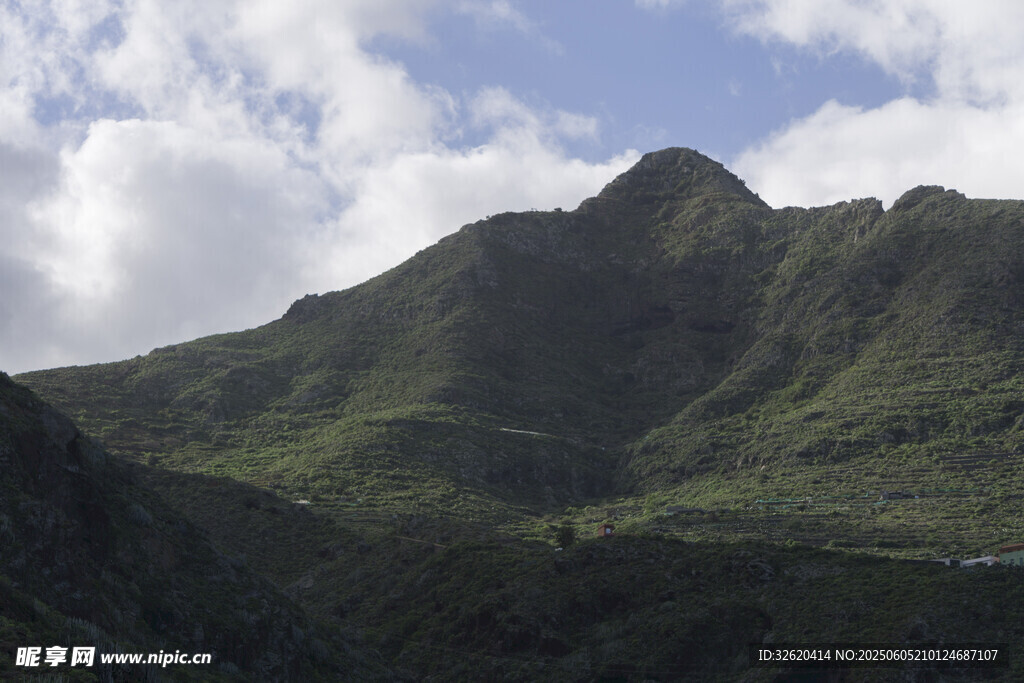 青山 
