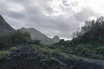 青山 
