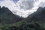 山峦 植被