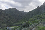  植被 山峰