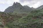 山峰 植被