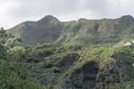 山峦 植被
