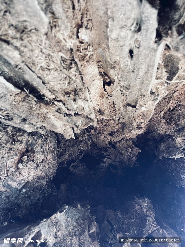 凝视思考