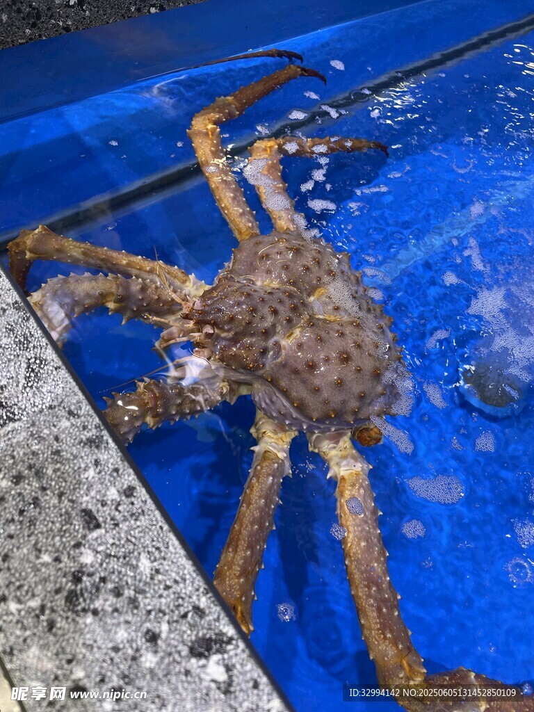 海鲜市场