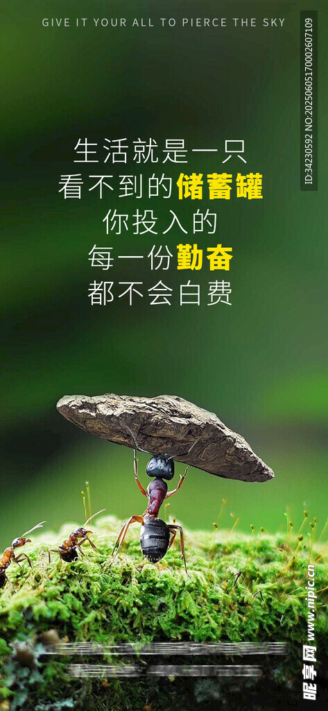 早安海报