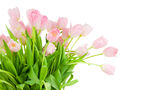 粉色郁金香花束