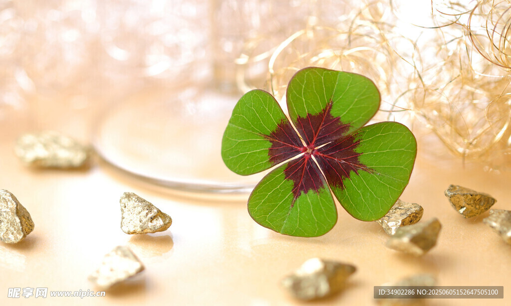幸运四叶草与珠宝饰品