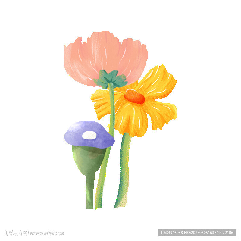 水彩绘三色花卉