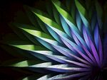 绚丽多彩的抽象花朵图案