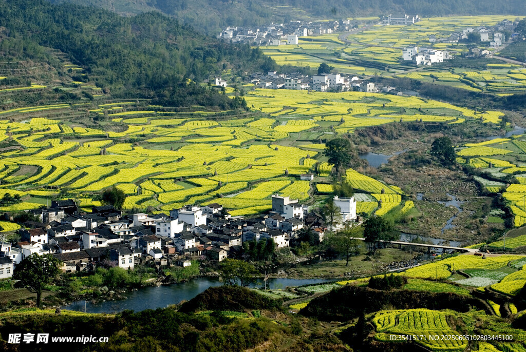 春日田园风光如画美景