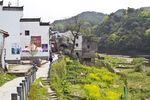 乡村春日美景