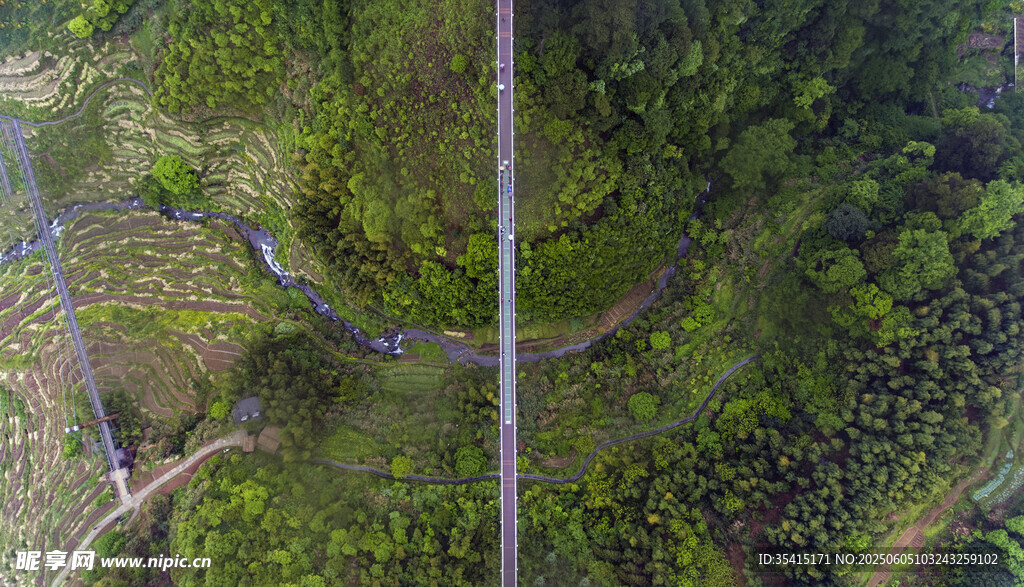 俯瞰葱郁山林间蜿蜒道路
