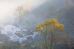 雾中村落秋景图