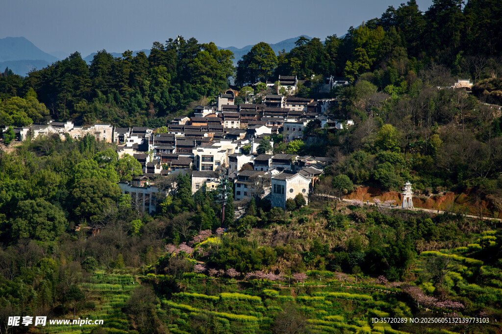 山村美景 绿意环绕的村落
