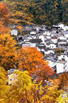 秋日山村美景如画